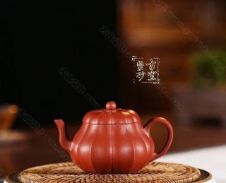 《小菱花》 《小菱花》