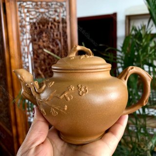 梅報(bào)春 梅報(bào)春