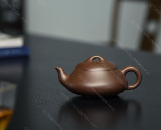 漢棠石瓢 漢棠石瓢