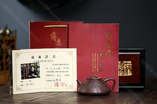 瓣生香獨傲寒，此梅難并眾梅看。 【