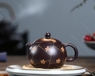 冰梅西施 冰梅西施