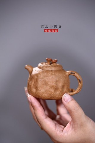 《靈芝小供春》 《靈芝小供春》