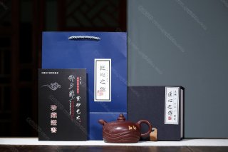 沙漠之舟 沙漠之舟